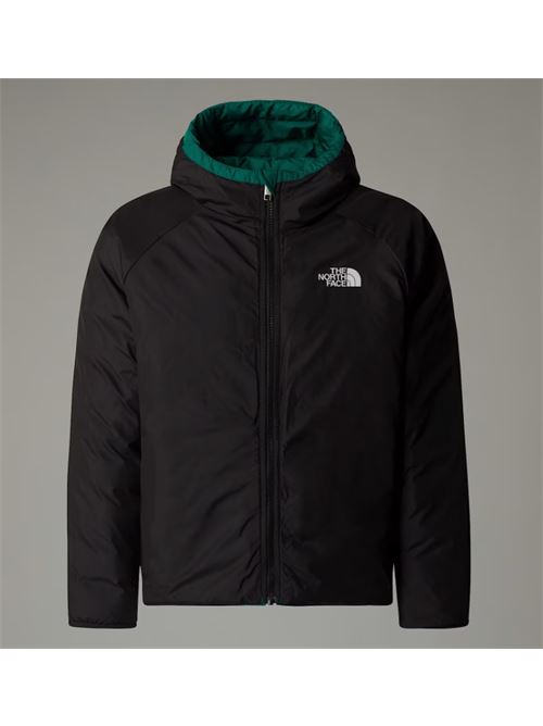 b drew peak p/o hoodie THE NORTH FACE | NF0A88TWNL11NL1